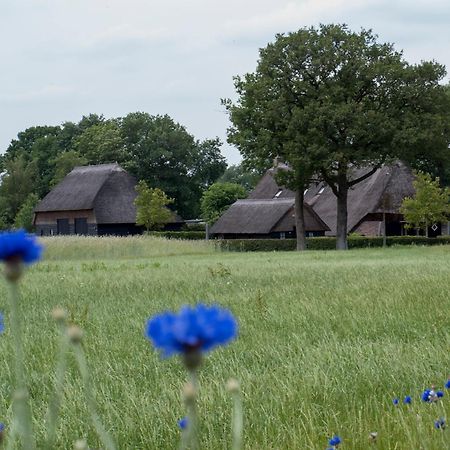 Gastenverblijf Lheederhof Dwingeloo Exteriér fotografie