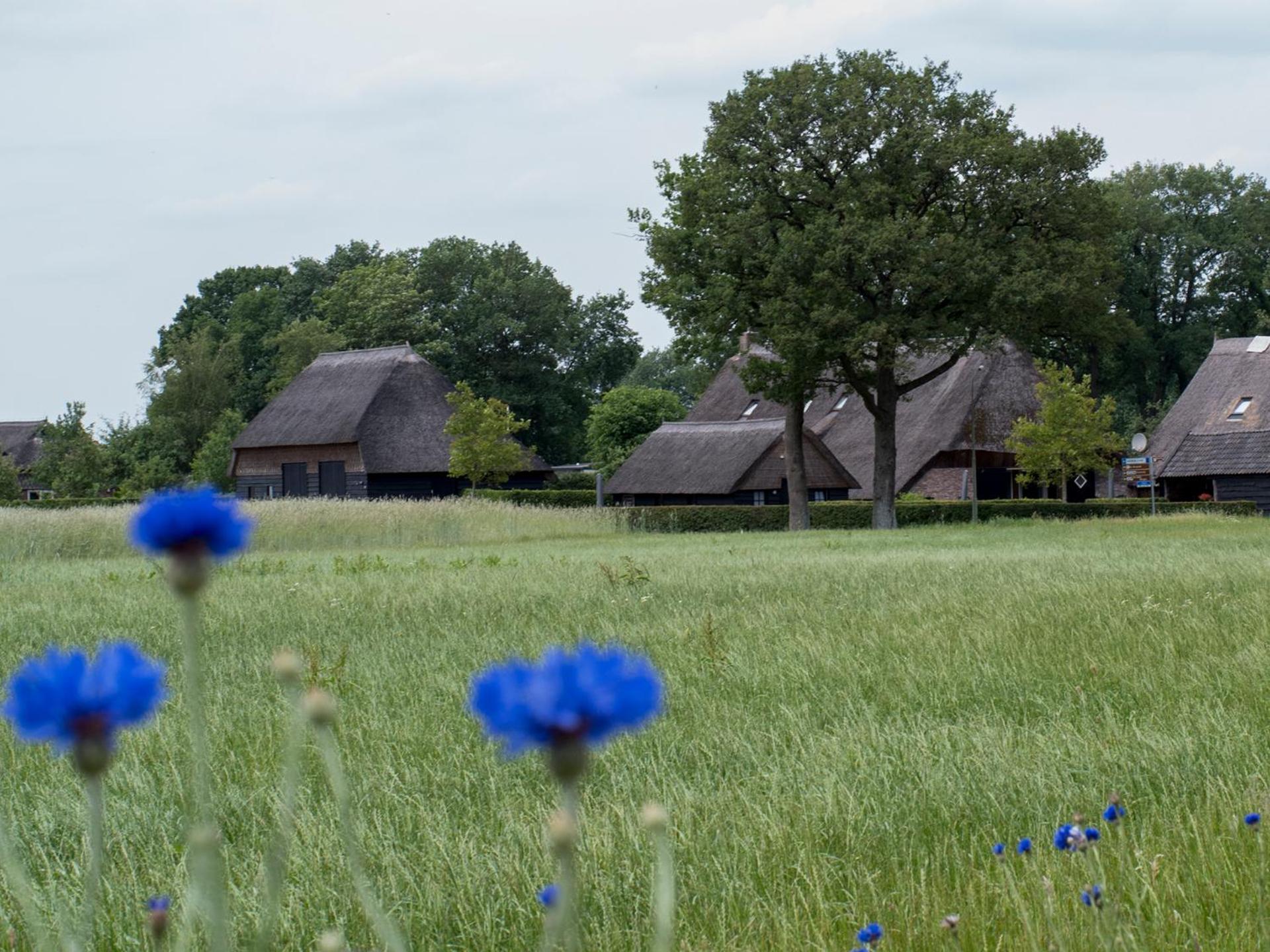 Gastenverblijf Lheederhof Dwingeloo Exteriér fotografie