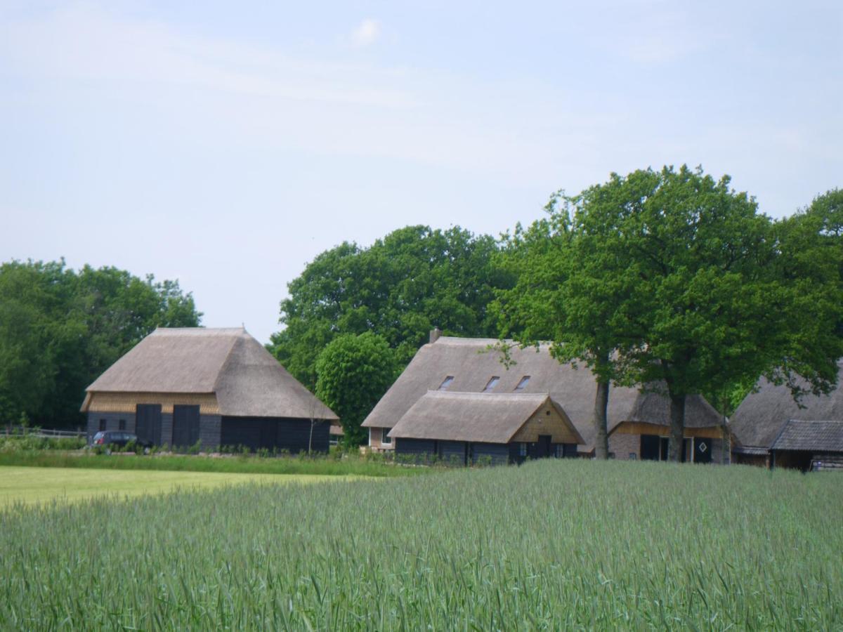 Gastenverblijf Lheederhof Dwingeloo Exteriér fotografie