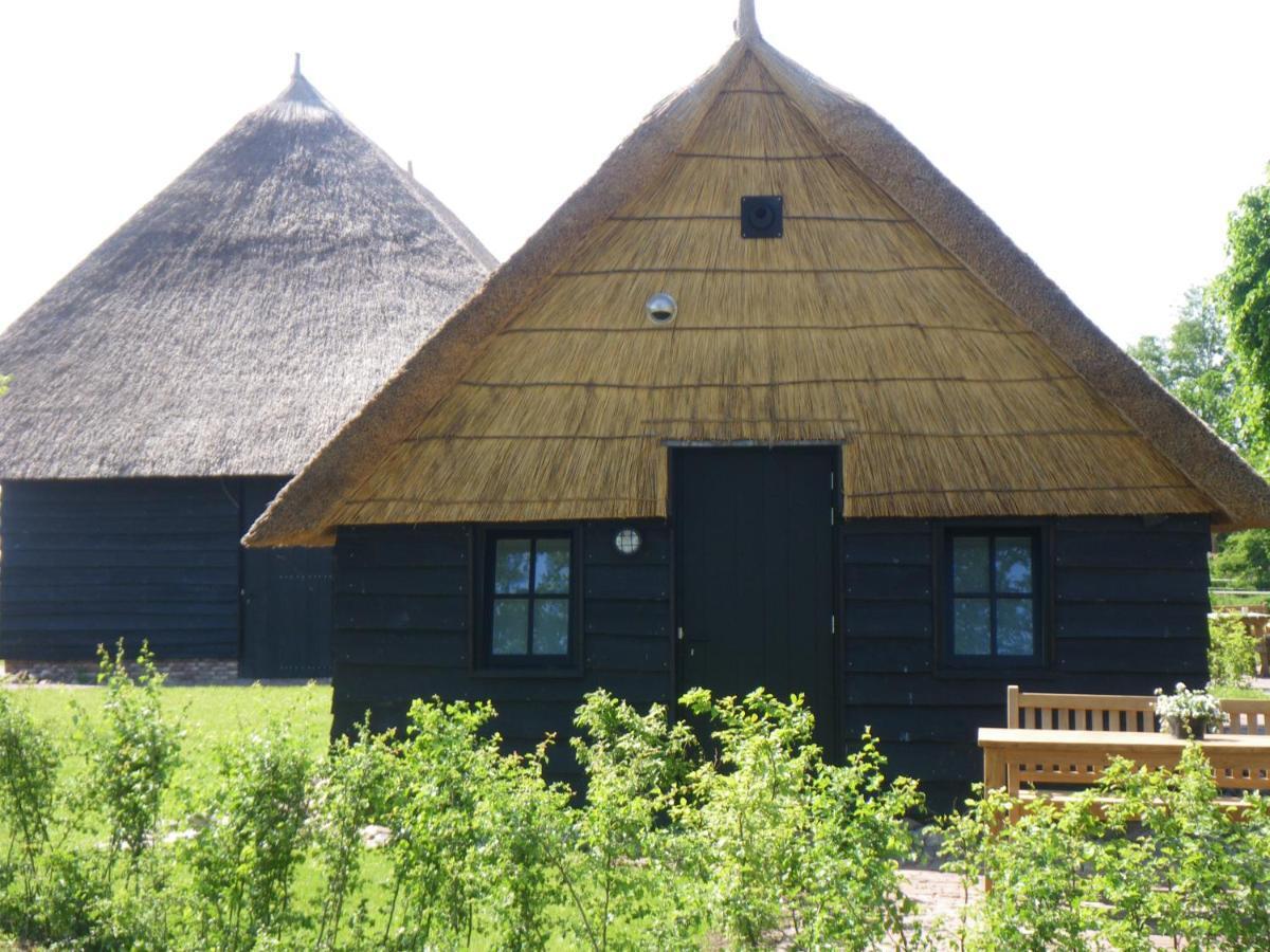 Gastenverblijf Lheederhof Dwingeloo Exteriér fotografie